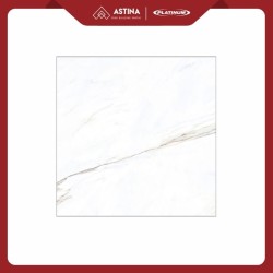 KERAMIK PLATINUM JARDIN WB REC 60X60 CM GLOSSY