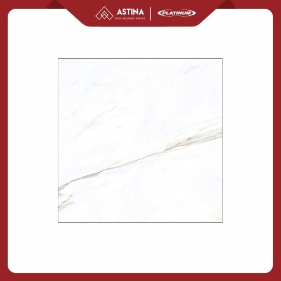 KERAMIK PLATINUM JARDIN WB REC 60X60 CM GLOSSY