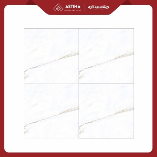 KERAMIK PLATINUM JARDIN WB REC 60X60 CM GLOSSY