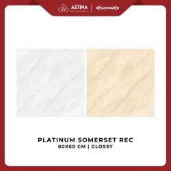 KERAMIK PLATINUM SOMERSET REC 60X60 CM GLOSSY