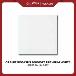GRANIT PEGASUS 26001022 PREMIUM WHITE 60x60 KW A