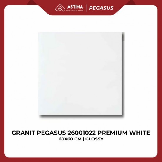 GRANIT PEGASUS 26001022 PREMIUM WHITE 60x60 KW A