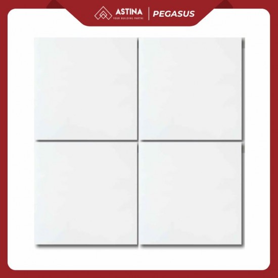 GRANIT PEGASUS 26001022 PREMIUM WHITE 60x60 KW A