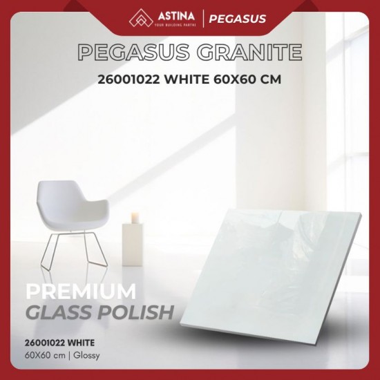 GRANIT PEGASUS 26001022 PREMIUM WHITE 60x60 KW A