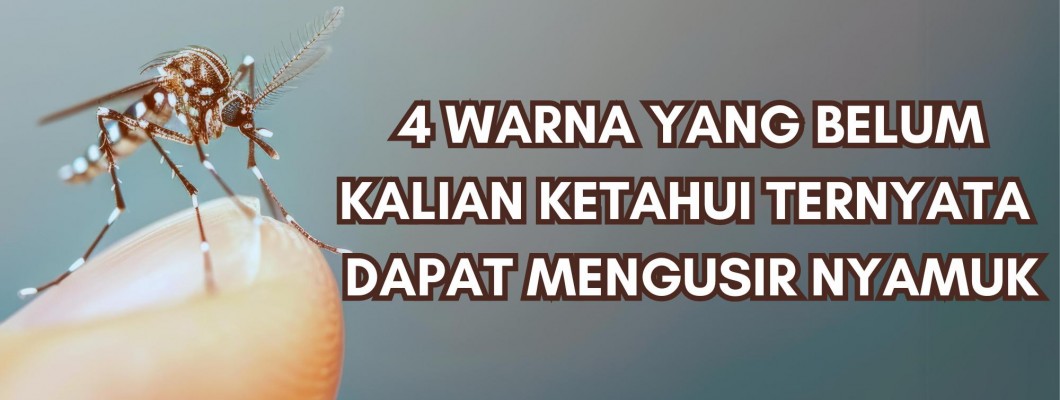 4 WARNA YANG BELUM KALIAN KETAHUI TERNYATA DAPAT MENGUSIR NYAMUK