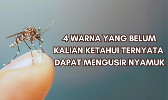 4 WARNA YANG BELUM KALIAN KETAHUI TERNYATA DAPAT MENGUSIR NYAMUK