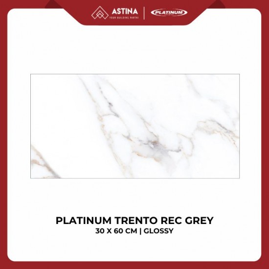 Keramik Platinum Trento Rec 30x60 Grey KW A