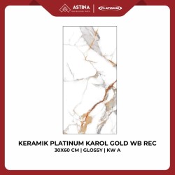 KERAMIK PLATINUM KAROL GOLD WB REC 30X60 CM GLOSSY KW A