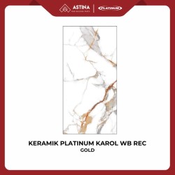 KERAMIK PLATINUM KAROL GOLD WB REC 30X60 CM GLOSSY KW A