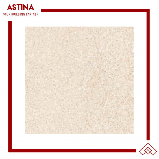 Infiniti Granite Terrazzo 60X60