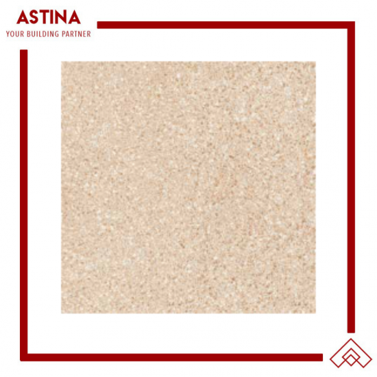 Infiniti Granite Terrazzo 60X60