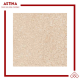 Infiniti Granite Terrazzo 60X60