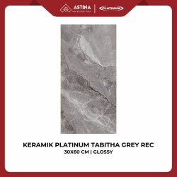 KERAMIK DINDING PLATINUM TABITHA GREY REC 30x60 CM KW A GLOSSY