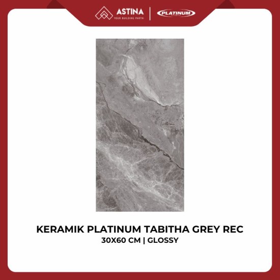 KERAMIK DINDING PLATINUM TABITHA GREY REC 30x60 CM KW A GLOSSY
