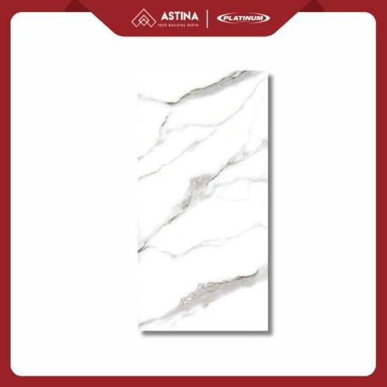 KERAMIK DINDING PLATINUM TURIN GREY REC 30X60 CM GLOSSY