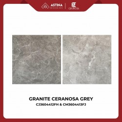 Granite CERANOSA CJ3604412FH & CM3604413FJ Grey 60x60 Glossy