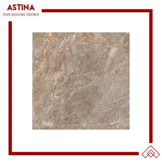 Keramik Lantai Platinum London 50x50 cm REC
