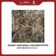 Granite CERANOSA CRCH3607777FN Dark Brown 60x60 Glossy