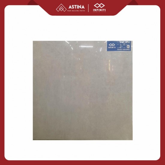 Granite Infiniti Roque Light Grey 60x60 Glossy