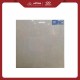 Granite Infiniti Roque Light Grey 60x60 Glossy
