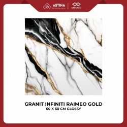 Granite Infiniti Raimeo Gold 60x60 Glossy