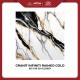 Granite Infiniti Raimeo Gold 60x60 Glossy