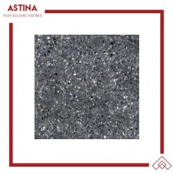Keramik Lantai Platinum Lisbon 50x50 cm REC