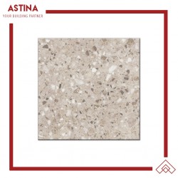 Keramik Platinum Dexter 50x50 