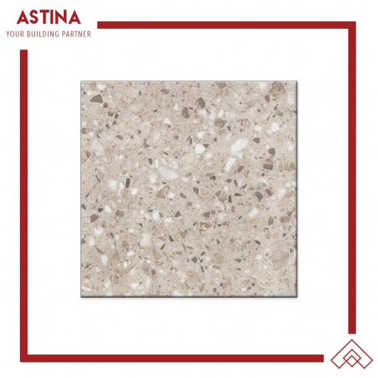Keramik Platinum Dexter 50x50 