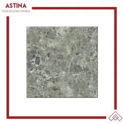 Keramik Platinum Stamford Rec 60x60 