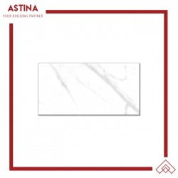 Keramik Platinum Toronto Rec 30x60 