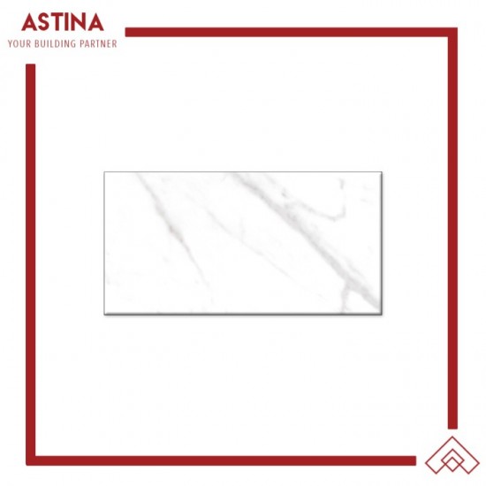 Keramik Platinum Toronto Rec 30x60 