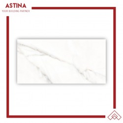 Keramik Dinding Platinum Tuscany Rec 30x60 cm